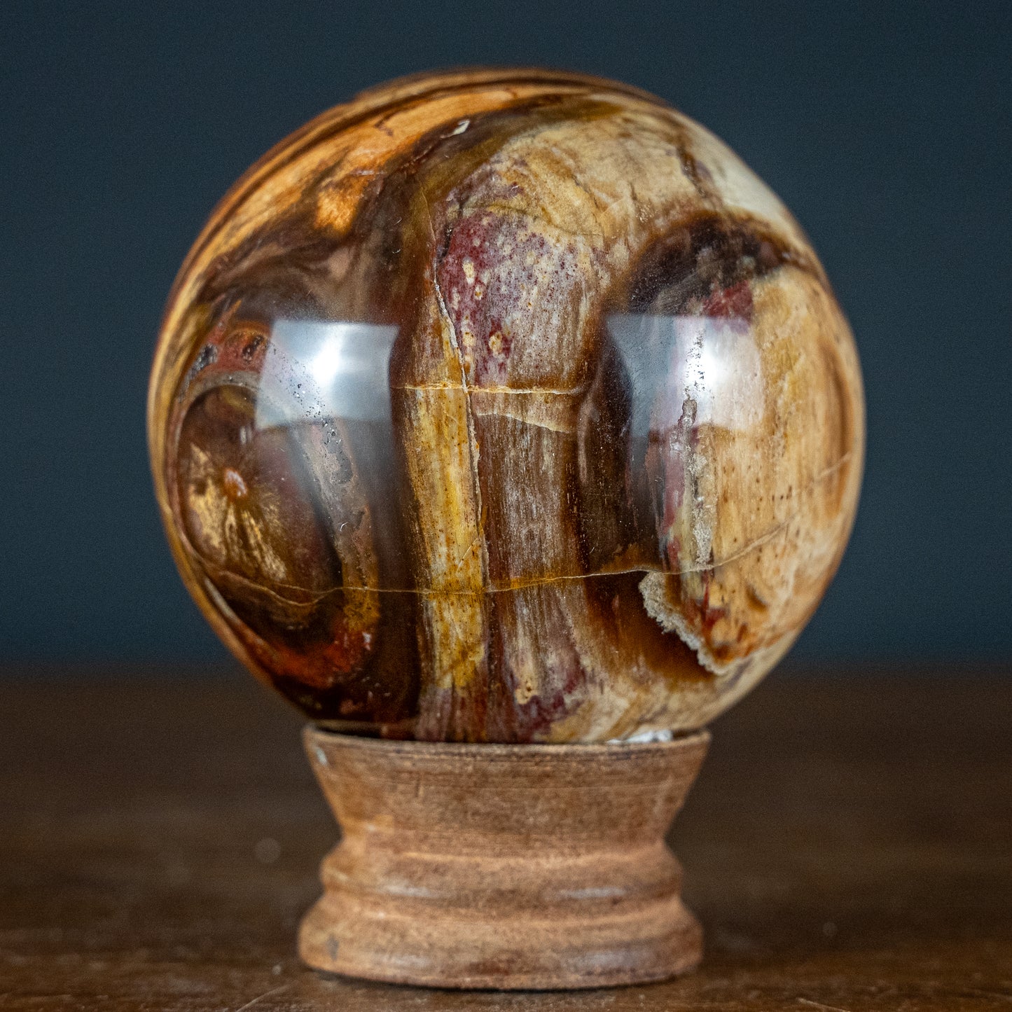 Natürliche Kugel aus Versteinertem Holz - 557,49g - 74,4mm