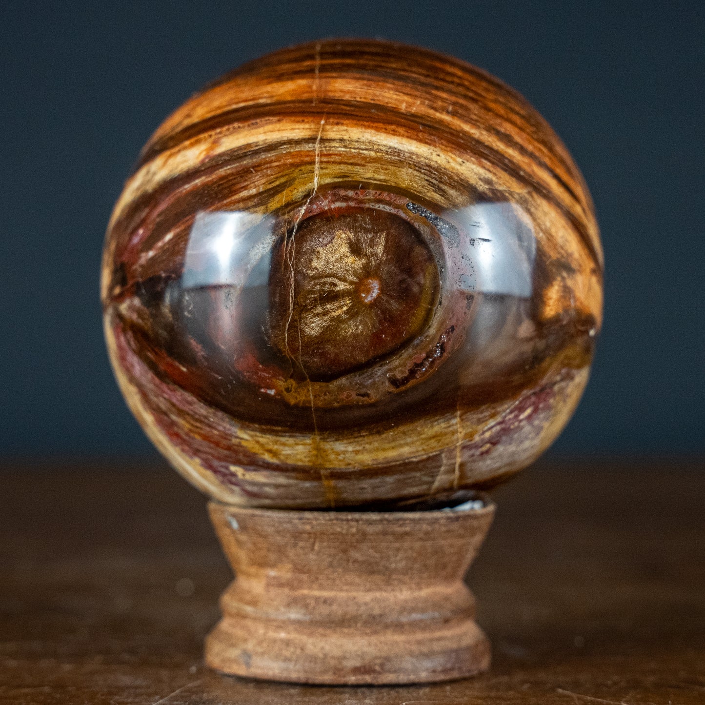 Natürliche Kugel aus Versteinertem Holz - 557,49g - 74,4mm