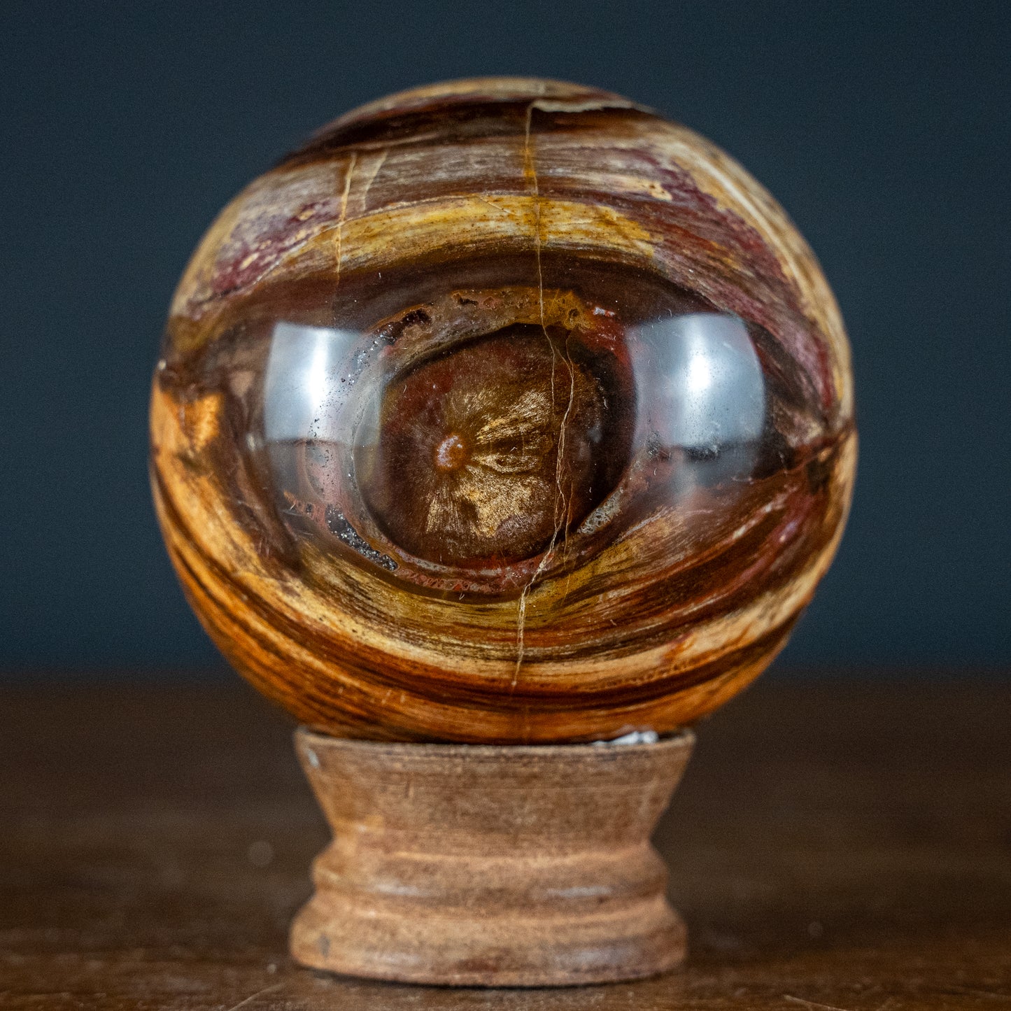 Natürliche Kugel aus Versteinertem Holz - 557,49g - 74,4mm