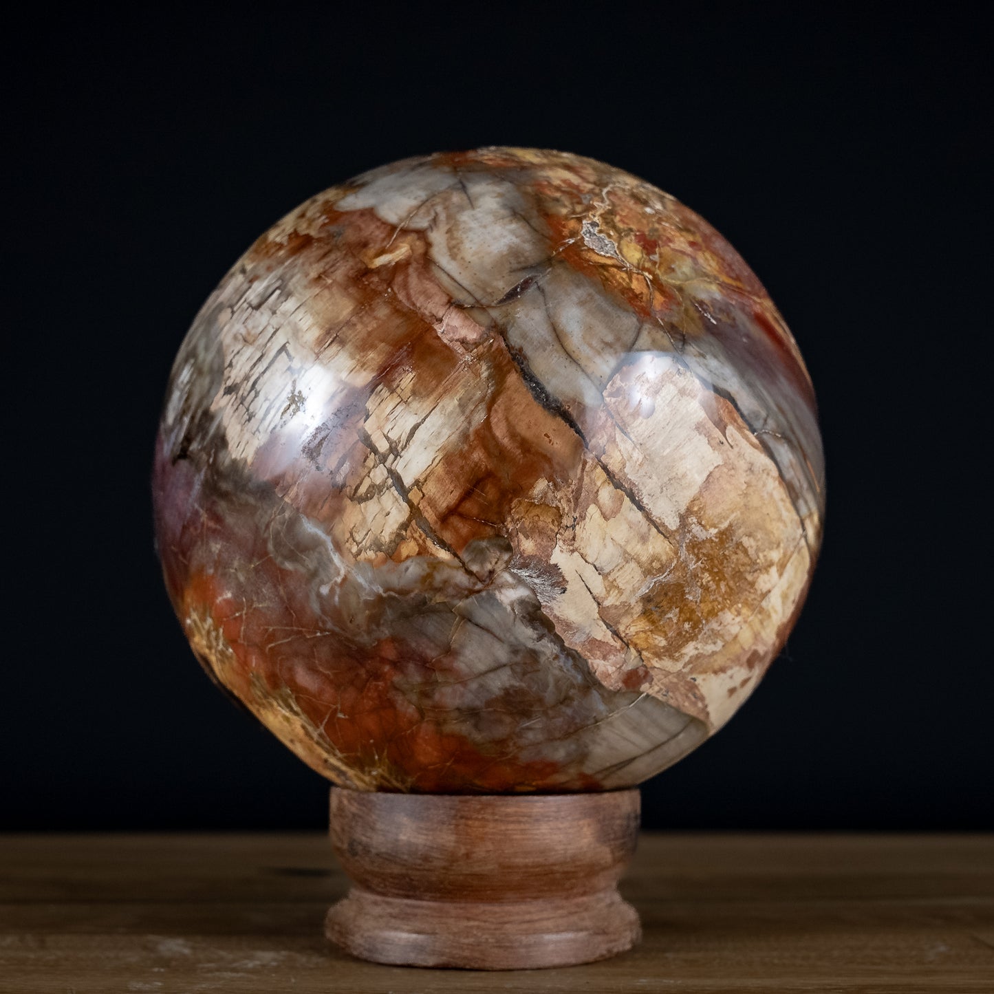 Große Natürliche Kugel aus Versteinertem Holz - 5767,86g - 170mm