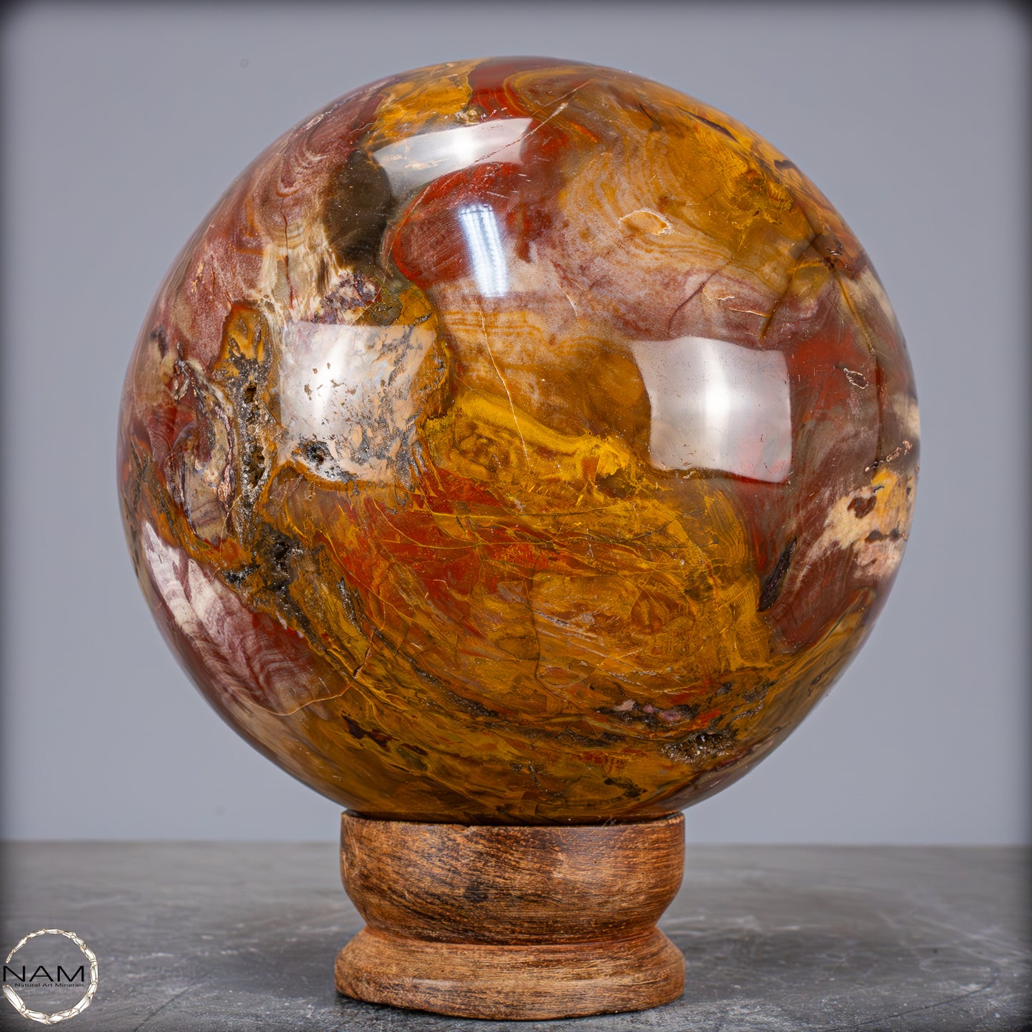 Natürliche Kristall-Kugel aus Versteinertem Holz - 6496,66g - 173mm
