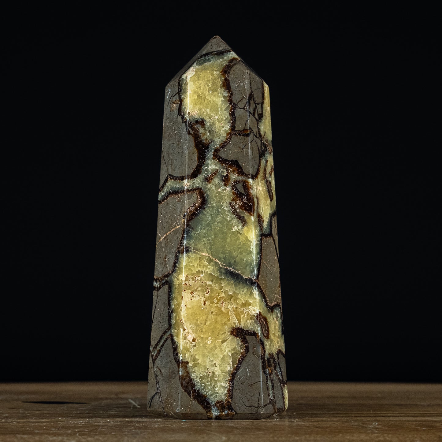 Septarien Obelisk - 1238,11g - 200x70x65mm
