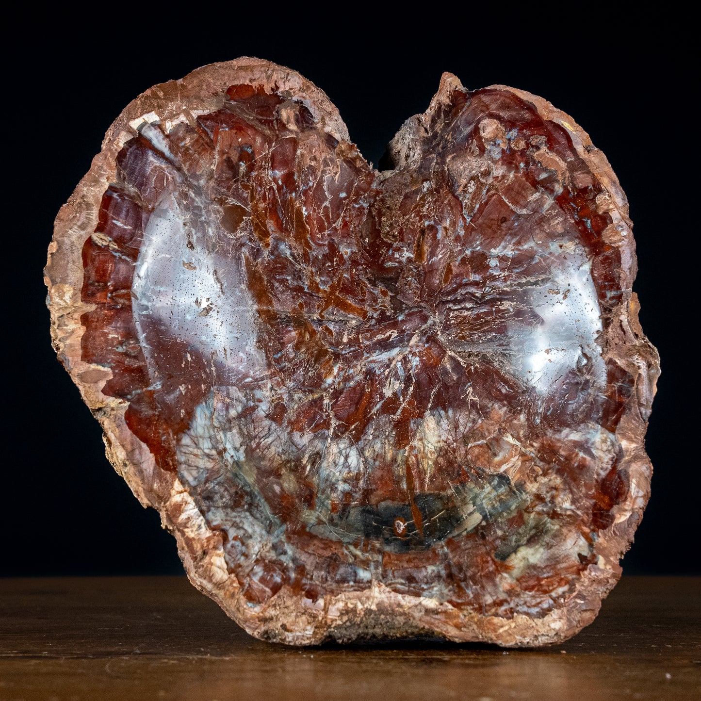 Seltene Natürliche Rötliche Versteinerte Holz Schale - 2472,53g