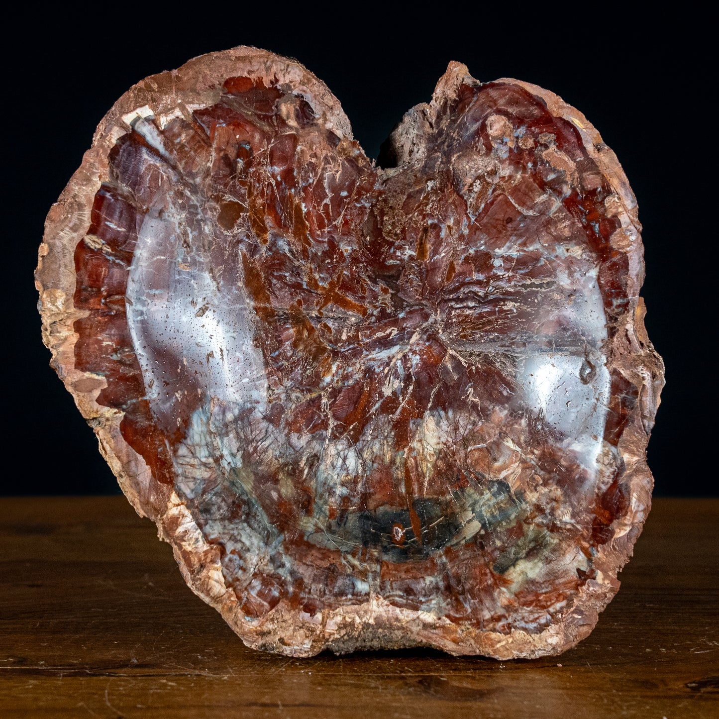 Seltene Natürliche Rötliche Versteinerte Holz Schale - 2472,53g