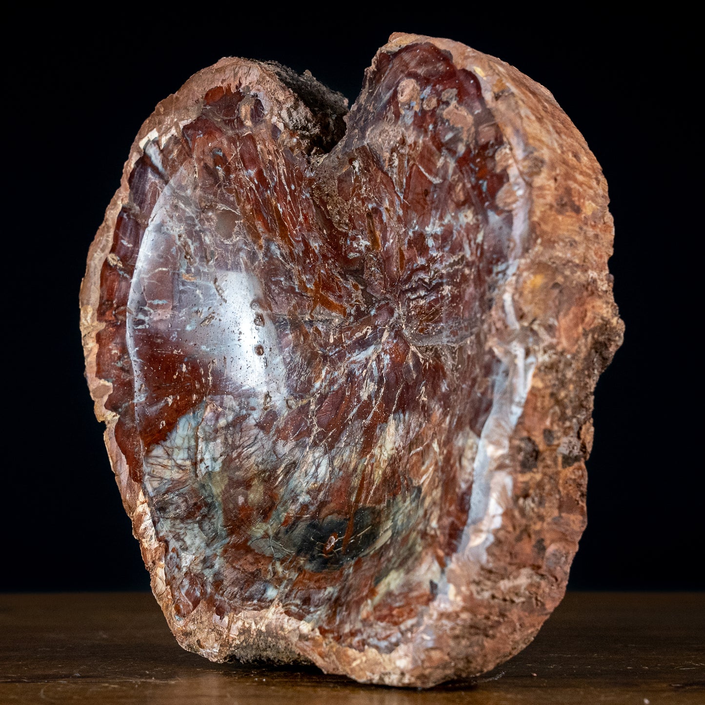 Seltene Natürliche Rötliche Versteinerte Holz Schale - 2472,53g