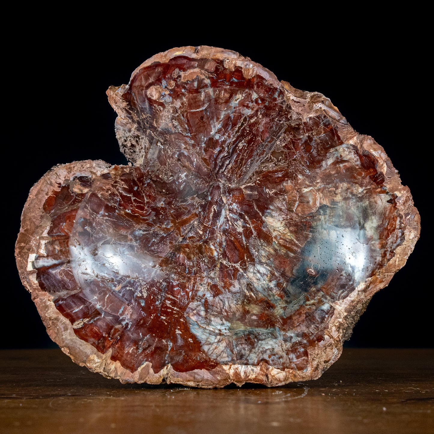 Seltene Natürliche Rötliche Versteinerte Holz Schale - 2472,53g