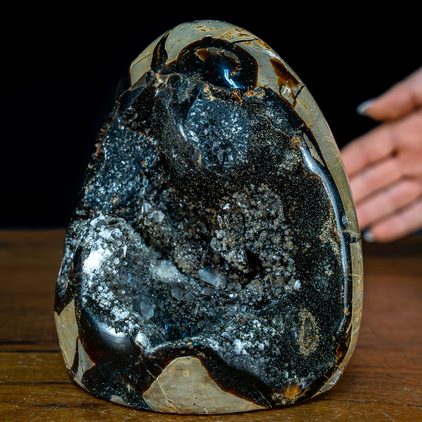 Natürliche Septarien Druse mit Calzit Kristallen - 1058,73g