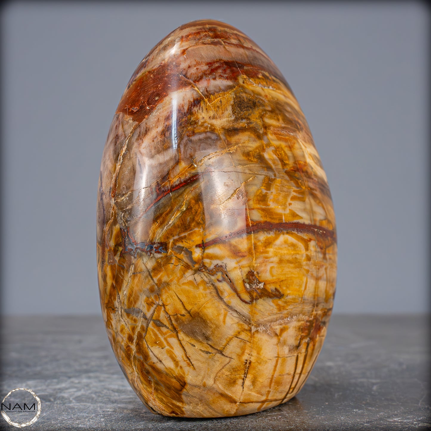 Natürliche Kristall-Freiform aus Versteinertem Holz - 995,65g