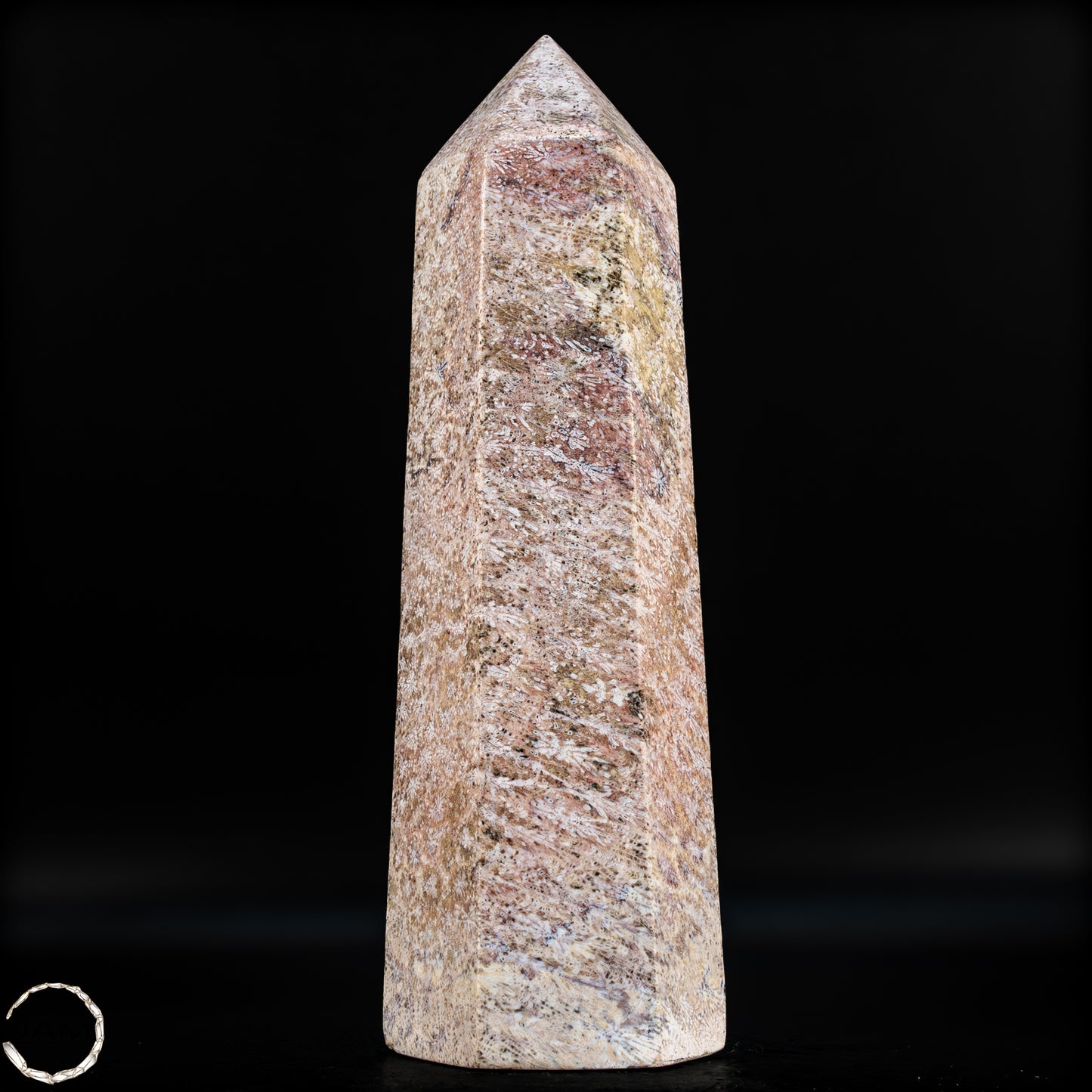 Natürliche Fossile Koralle als Obelisk - 860,65g