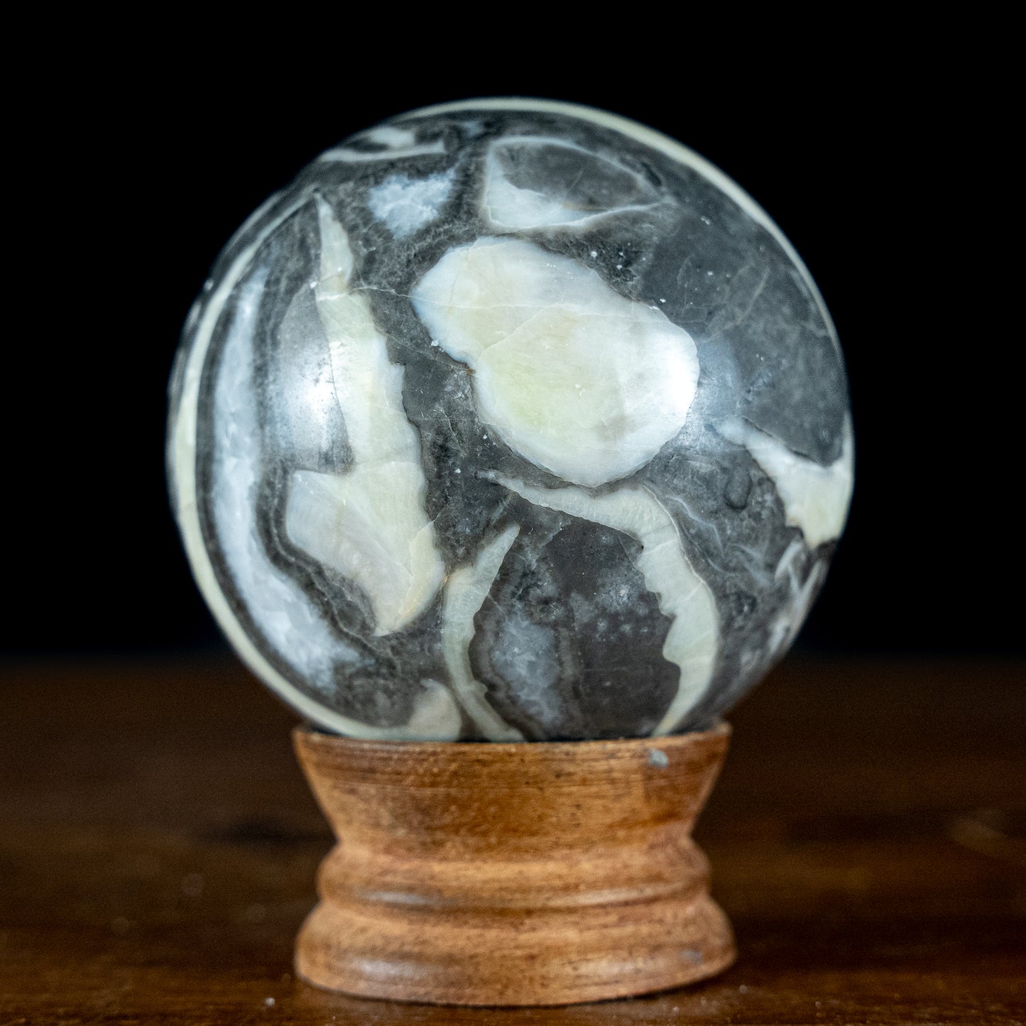 Fossiler Muschel-Jaspis Kugel "Tausend Augen"- 451,63g - 68mm