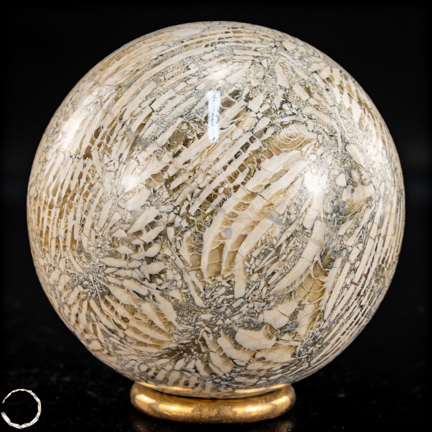 Natürliche Fossile Koralle als Kugel - 324,53g - 62,5mm