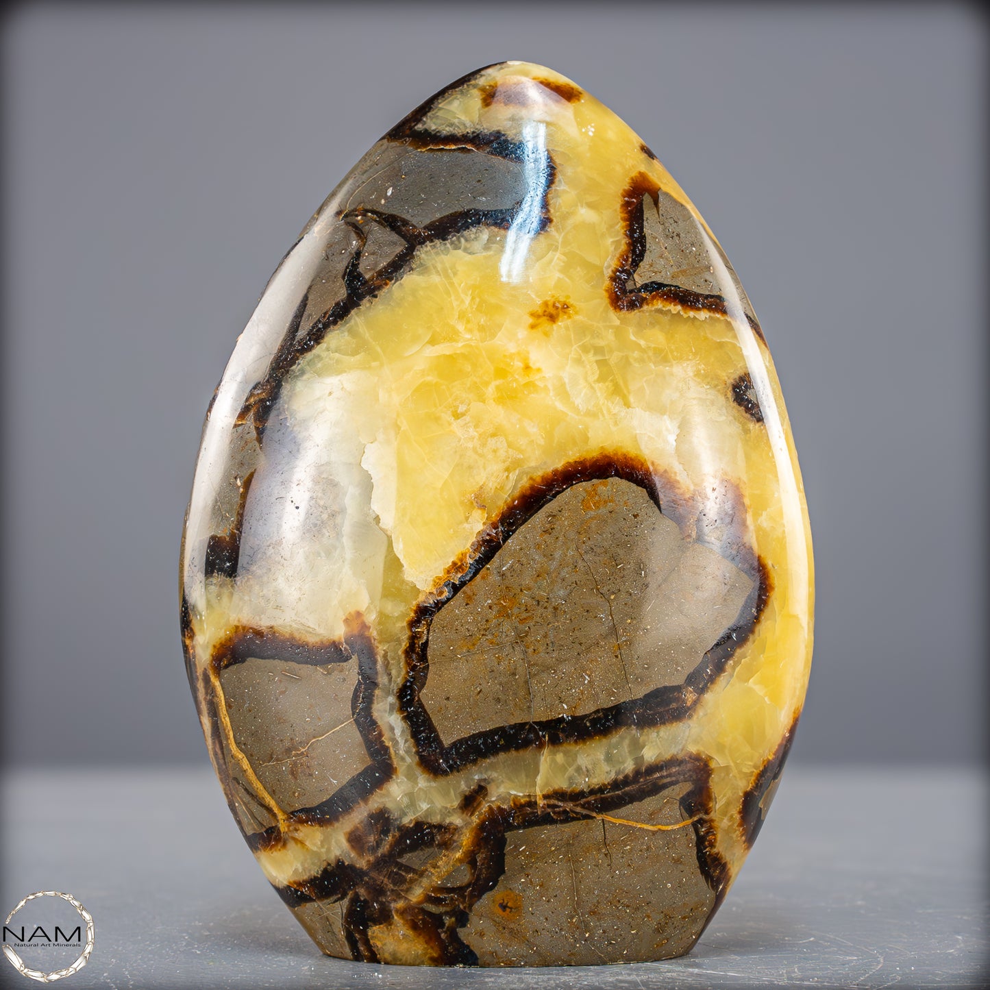 Natürliche Septarien-Kristall Freiform - 873,39g