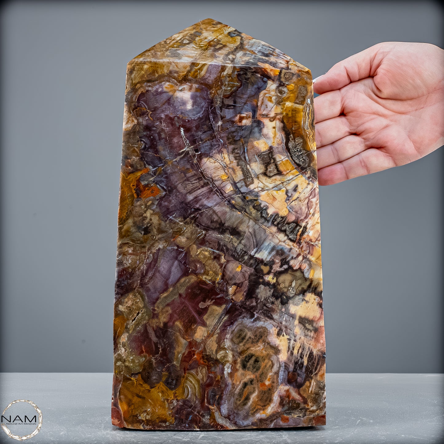 Natürliche Kristall-Freiform aus Versteinertem Holz - 8947,21 g