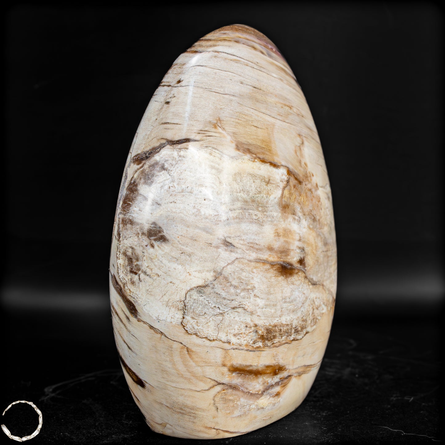 Natürliche Kristall-Freiform aus Versteinertem Holz - 826,77 g