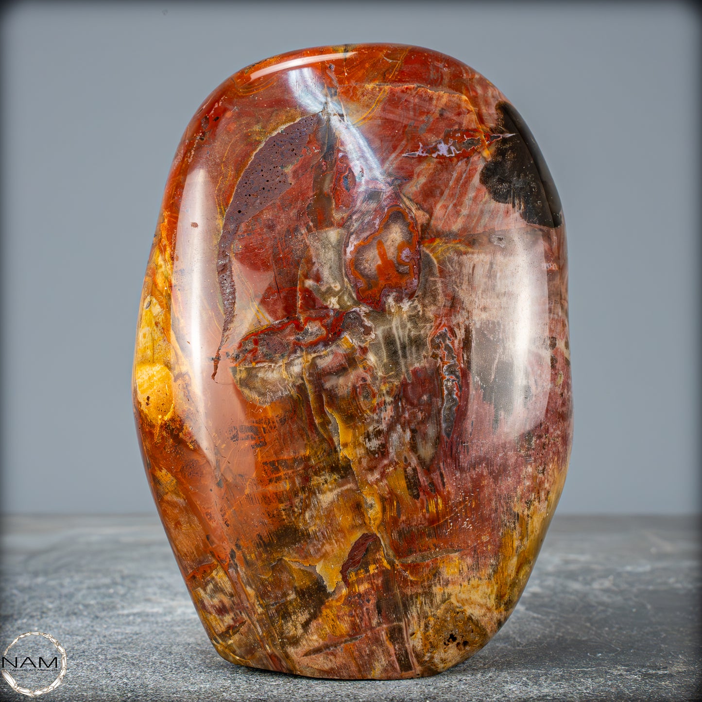 Natürliche Kristall-Freiform aus Versteinertem Holz - 879,51g