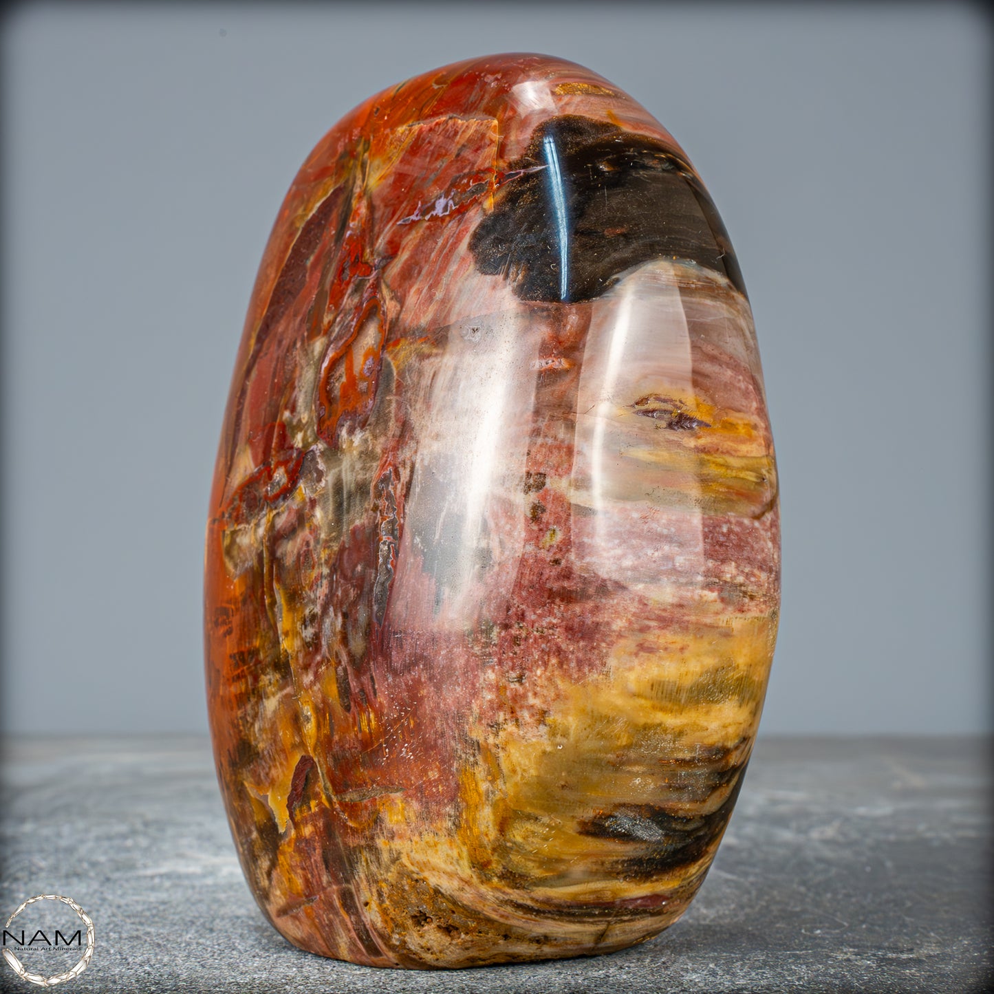 Natürliche Kristall-Freiform aus Versteinertem Holz - 879,51g