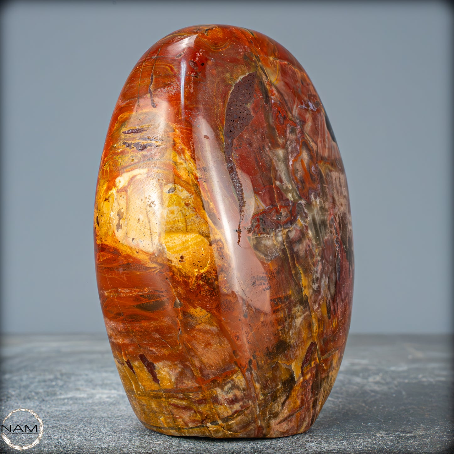 Natürliche Kristall-Freiform aus Versteinertem Holz - 879,51g
