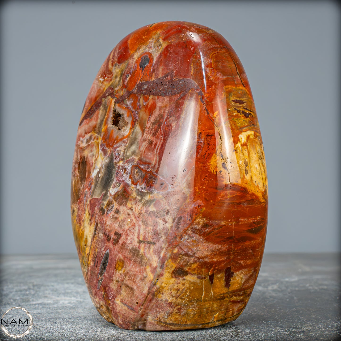 Natürliche Kristall-Freiform aus Versteinertem Holz - 879,51g