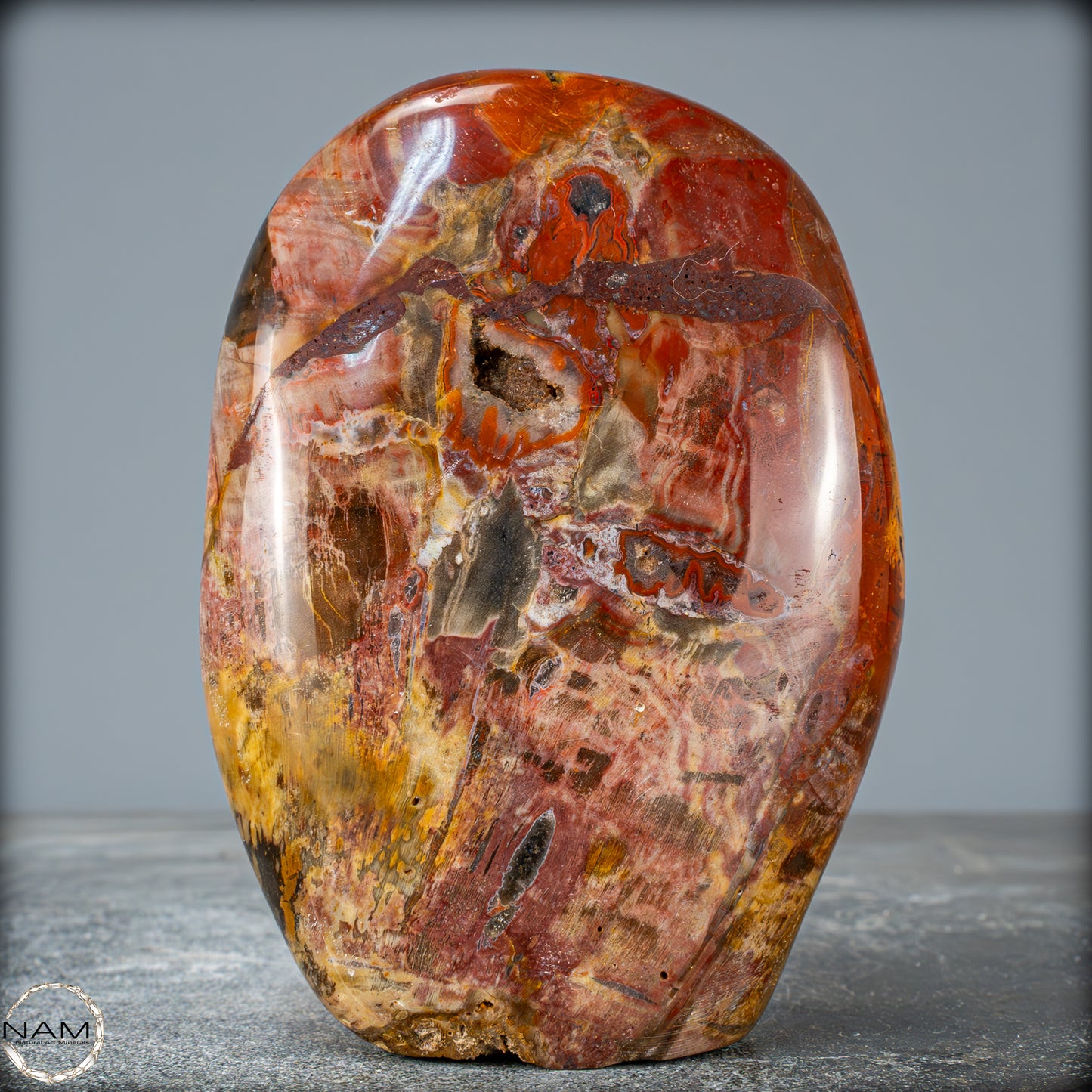 Natürliche Kristall-Freiform aus Versteinertem Holz - 879,51g