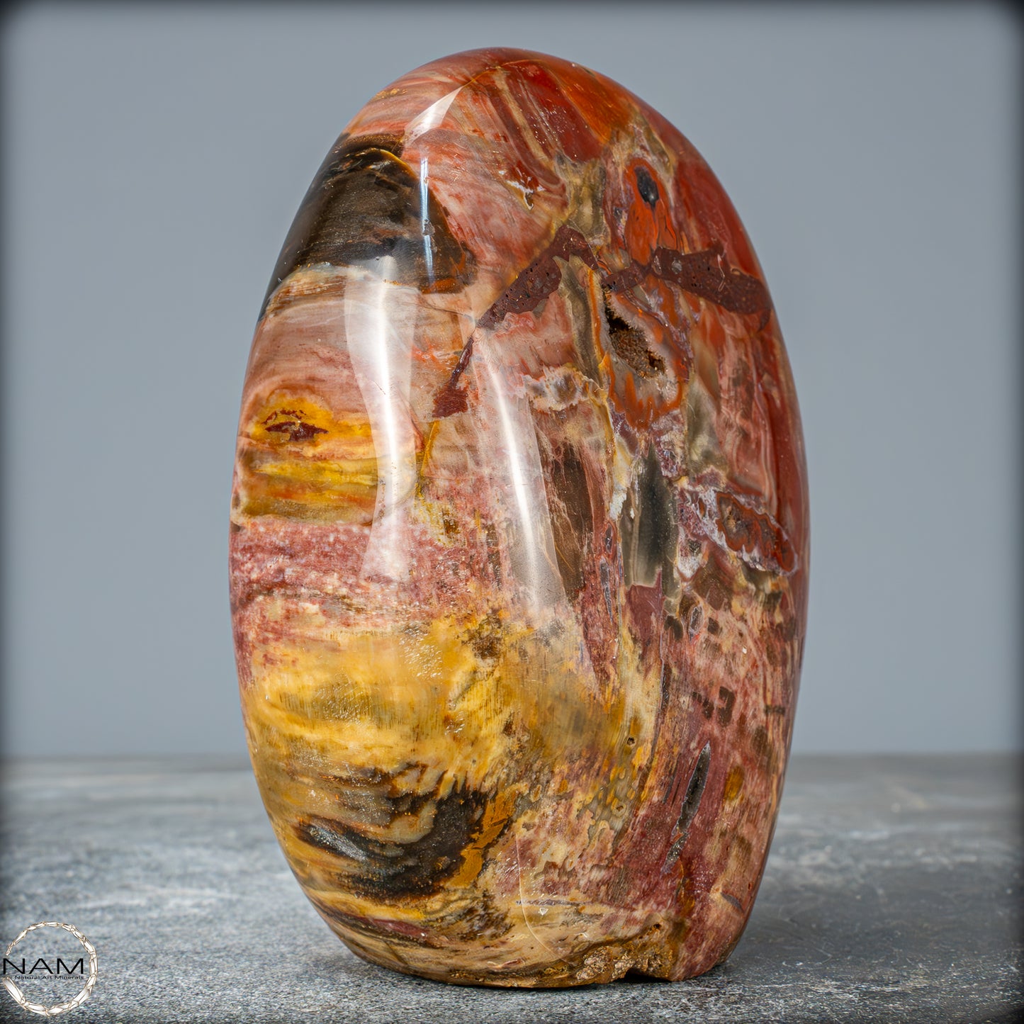 Natürliche Kristall-Freiform aus Versteinertem Holz - 879,51g