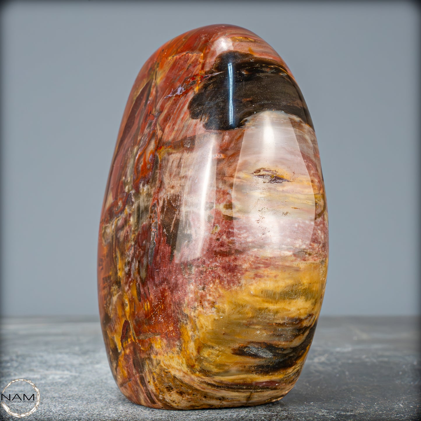 Natürliche Kristall-Freiform aus Versteinertem Holz - 879,51g