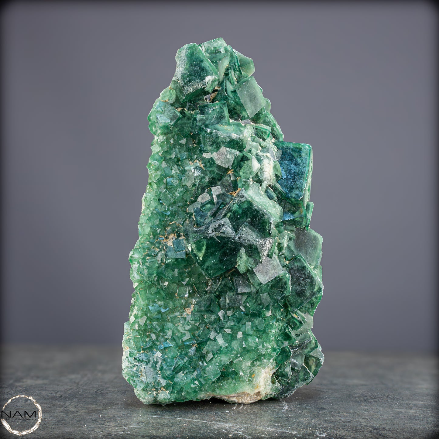 Natürliche Grüner Fluorit Kristalle auf Matrix - 1264,05