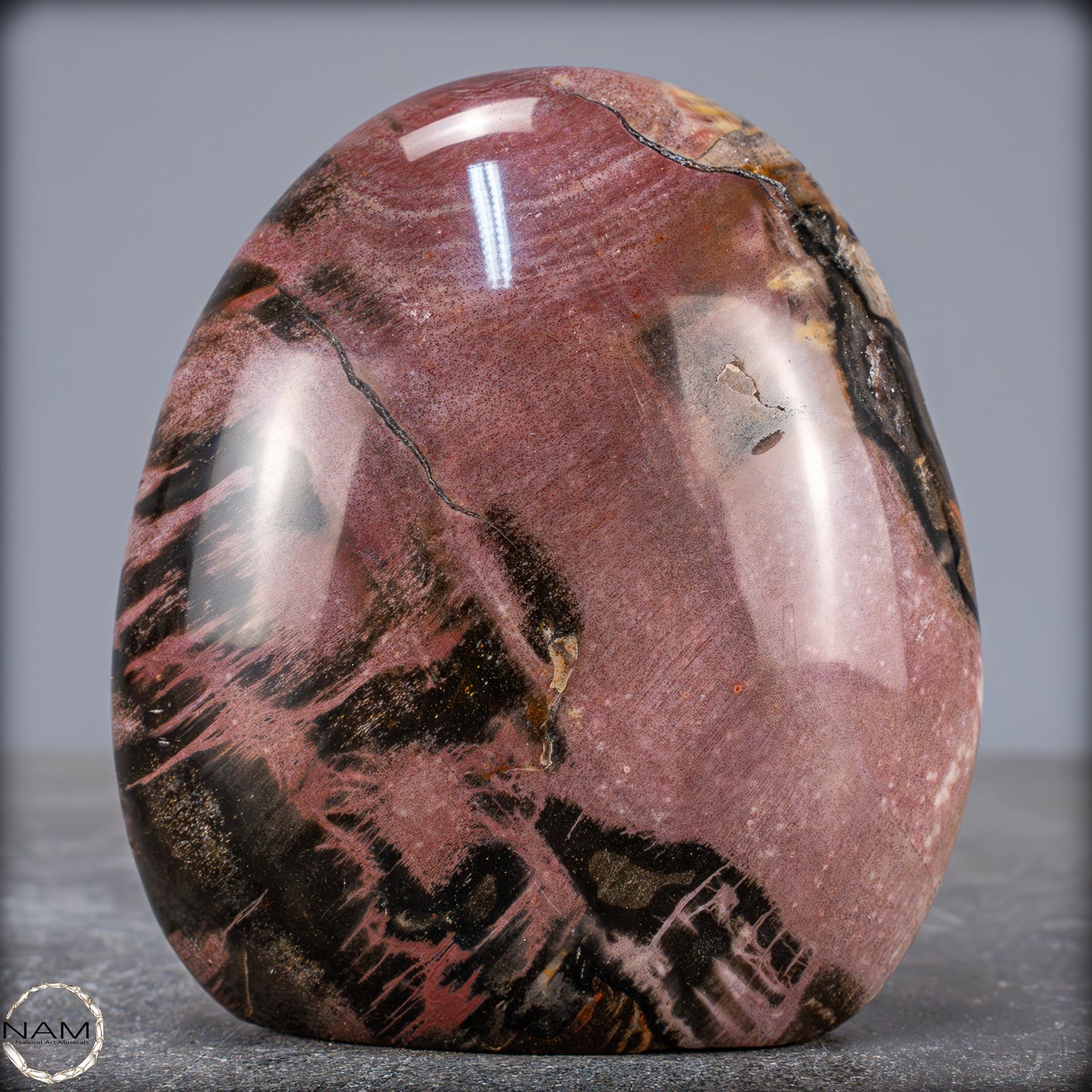 Natürliche Kristall-Freiform aus Versteinertem Holz - 704,47g