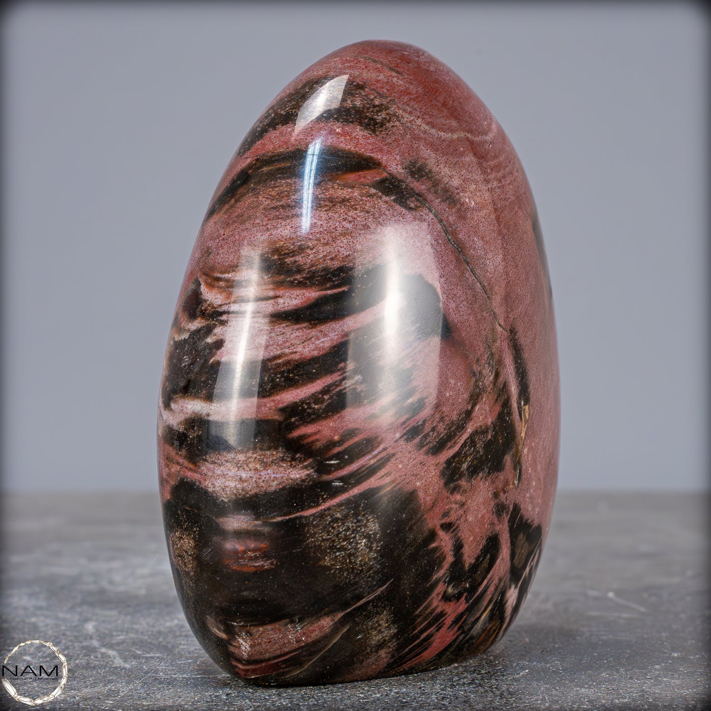 Natürliche Kristall-Freiform aus Versteinertem Holz - 704,47g