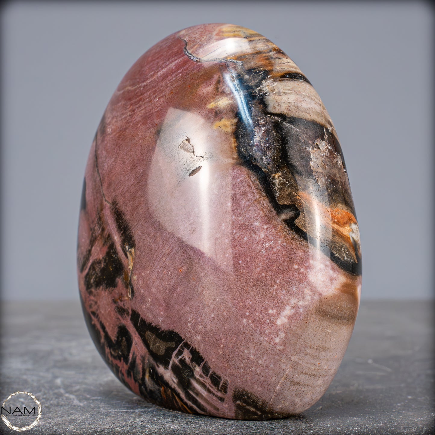 Natürliche Kristall-Freiform aus Versteinertem Holz - 704,47g