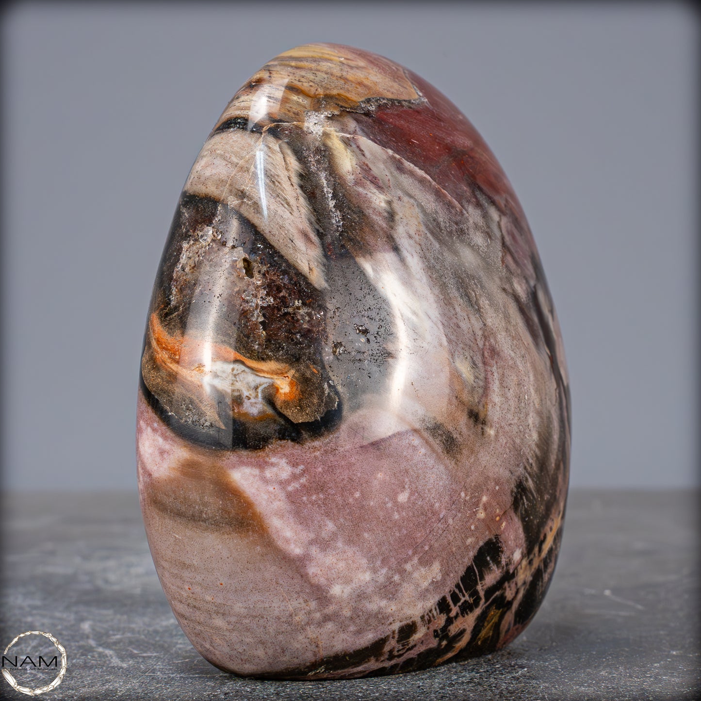 Natürliche Kristall-Freiform aus Versteinertem Holz - 704,47g