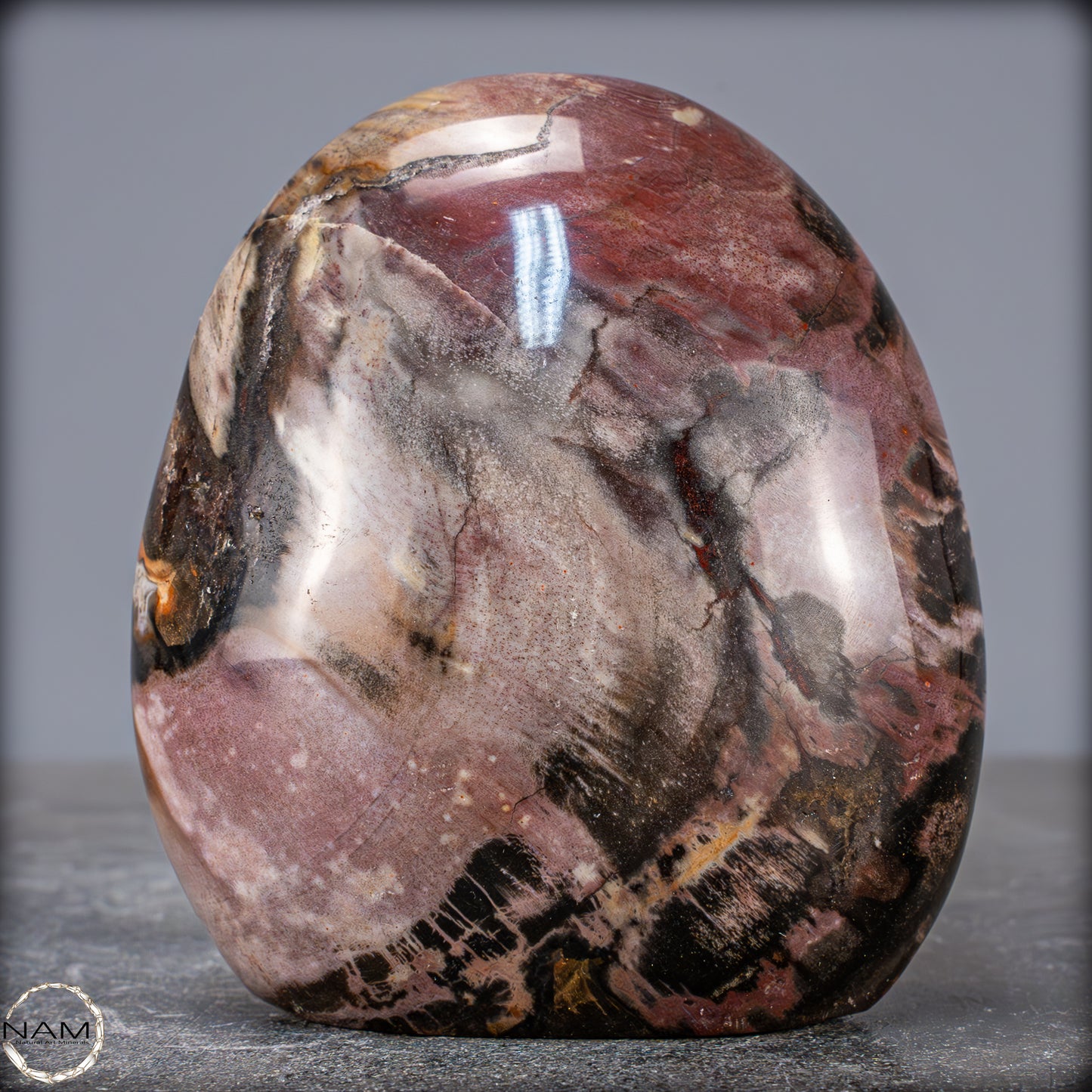 Natürliche Kristall-Freiform aus Versteinertem Holz - 704,47g