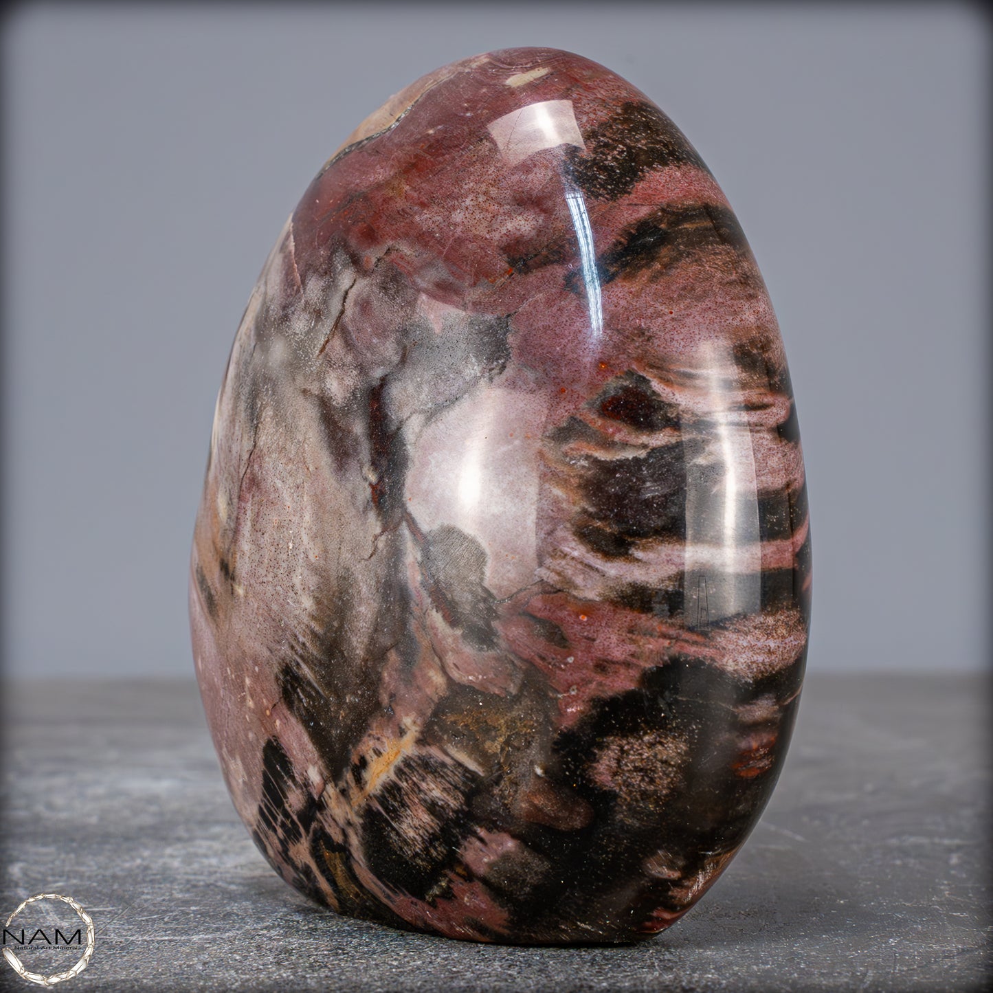 Natürliche Kristall-Freiform aus Versteinertem Holz - 704,47g