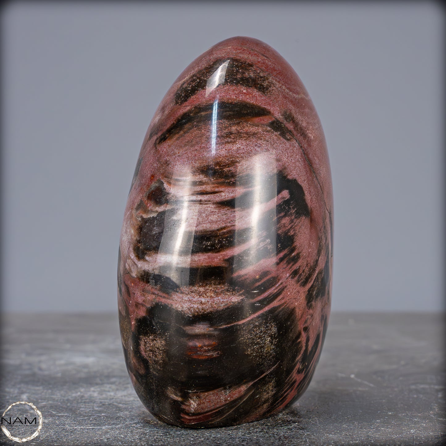 Natürliche Kristall-Freiform aus Versteinertem Holz - 704,47g