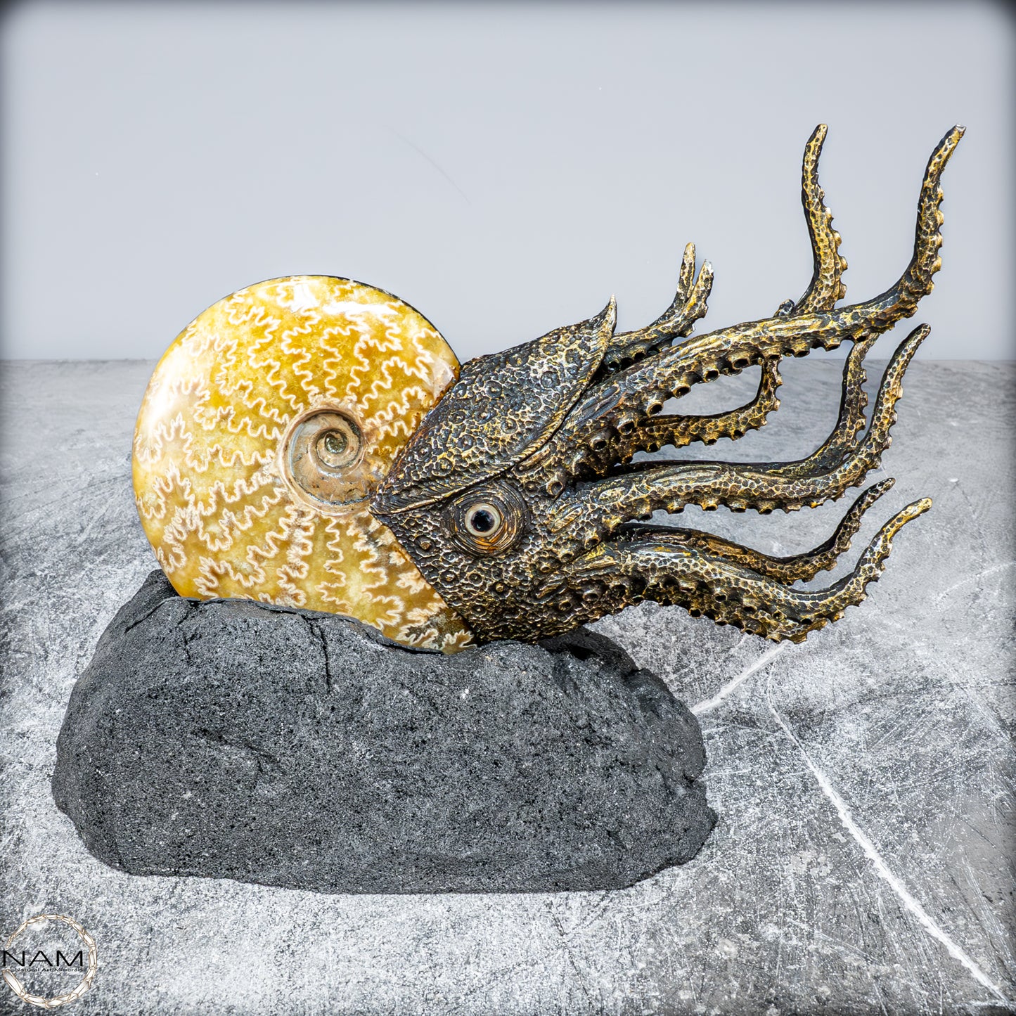 Natürlicher Ammonite verbunden mit Meisterhafter Kunst - 1177,63g