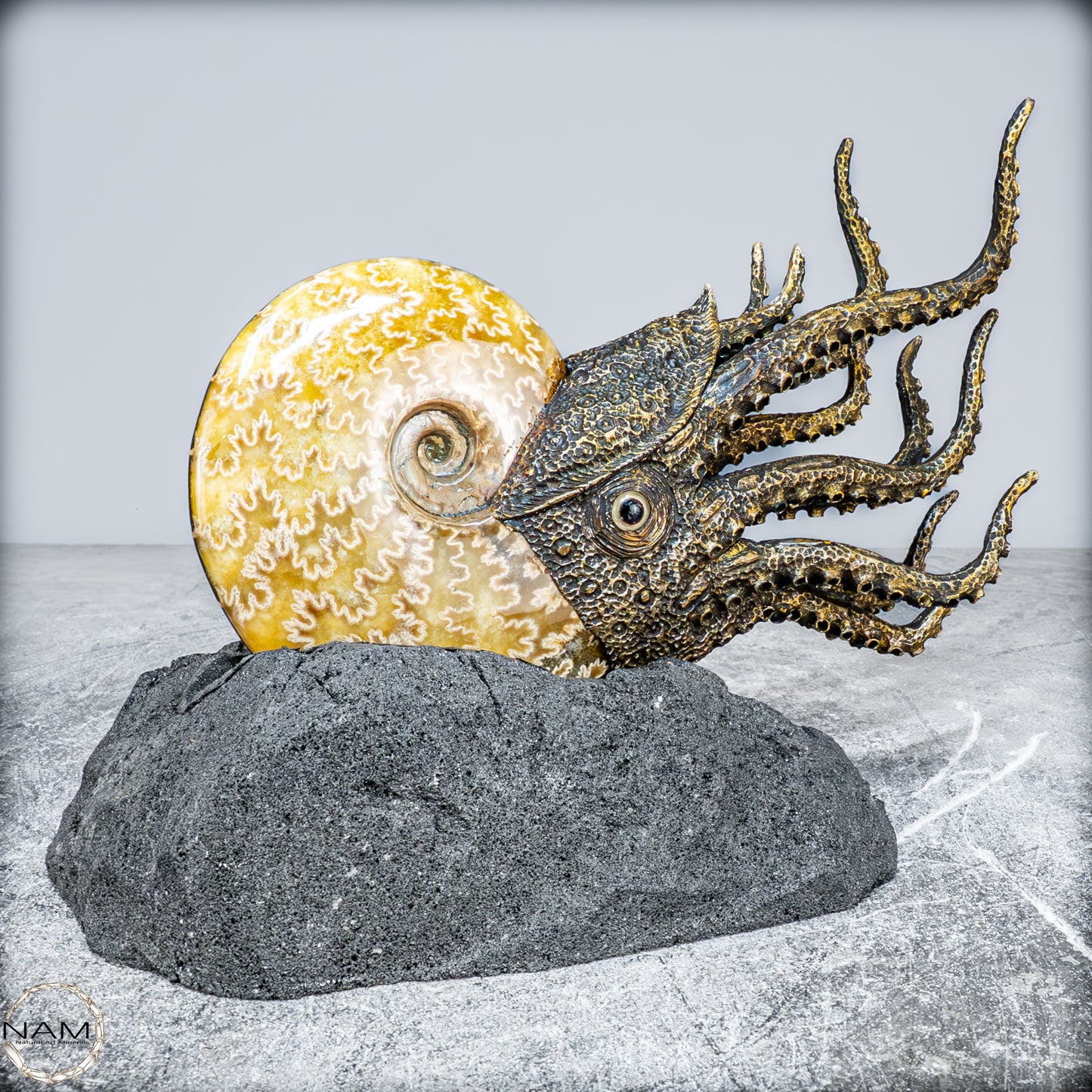 Natürlicher Ammonite verbunden mit Meisterhafter Kunst - 1177,63g