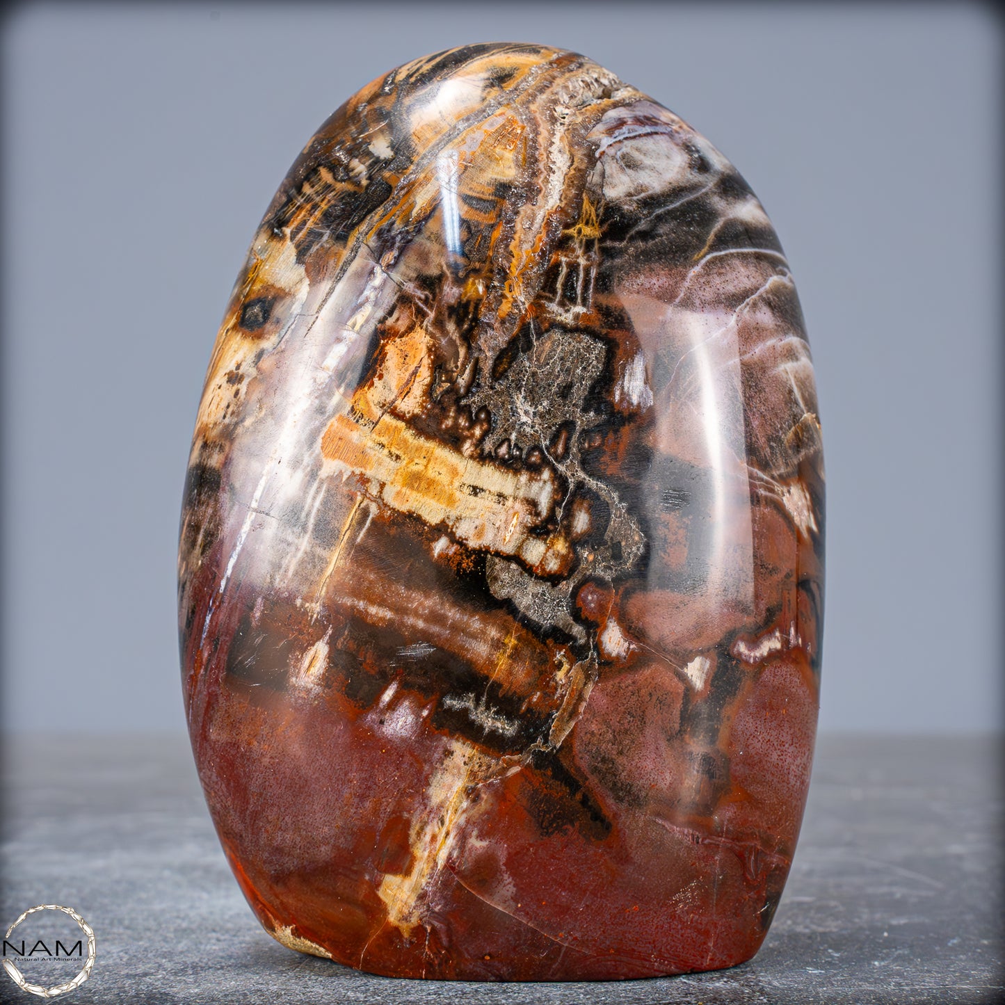 Natürliche Kristall-Freiform aus Versteinertem Holz - 707,66g