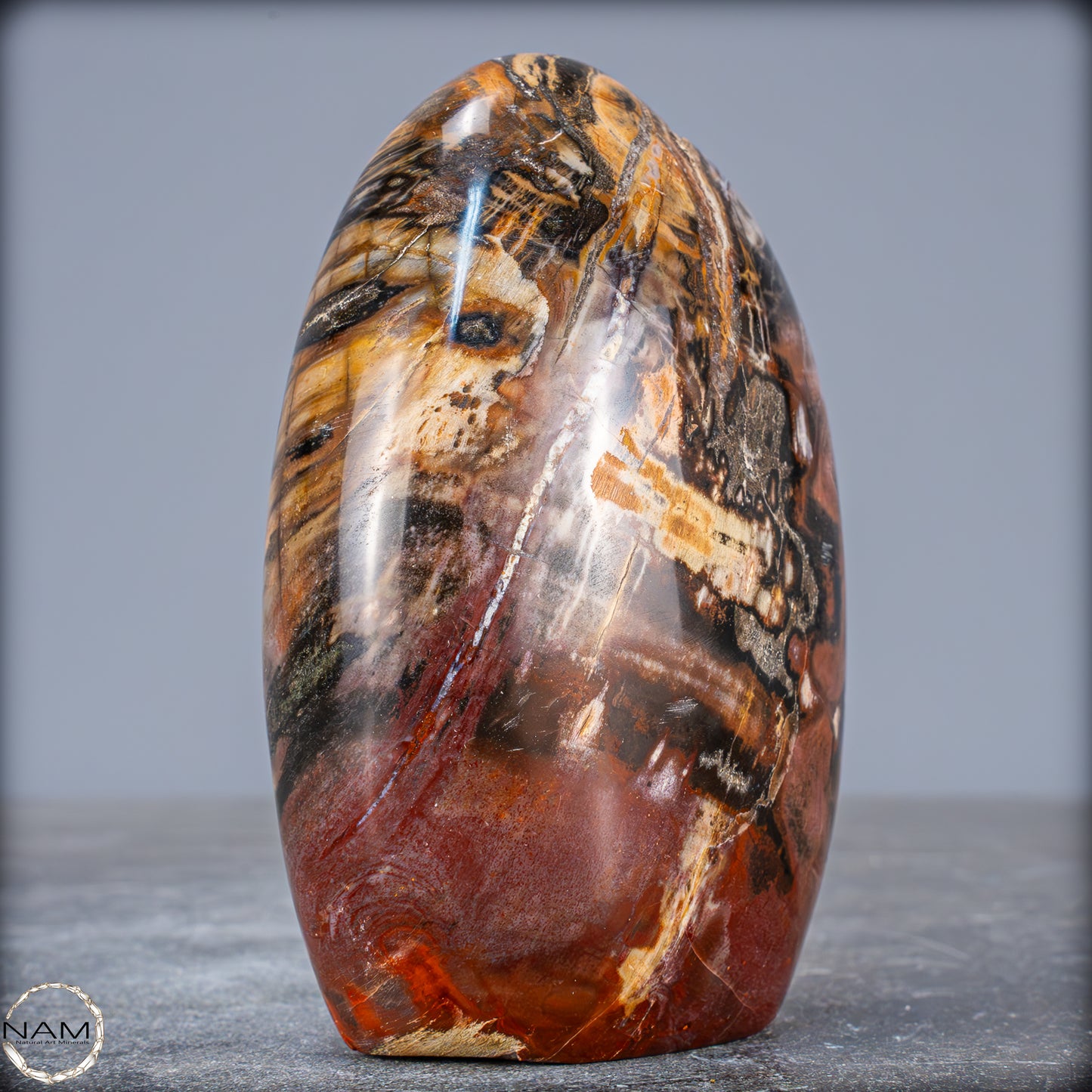 Natürliche Kristall-Freiform aus Versteinertem Holz - 707,66g