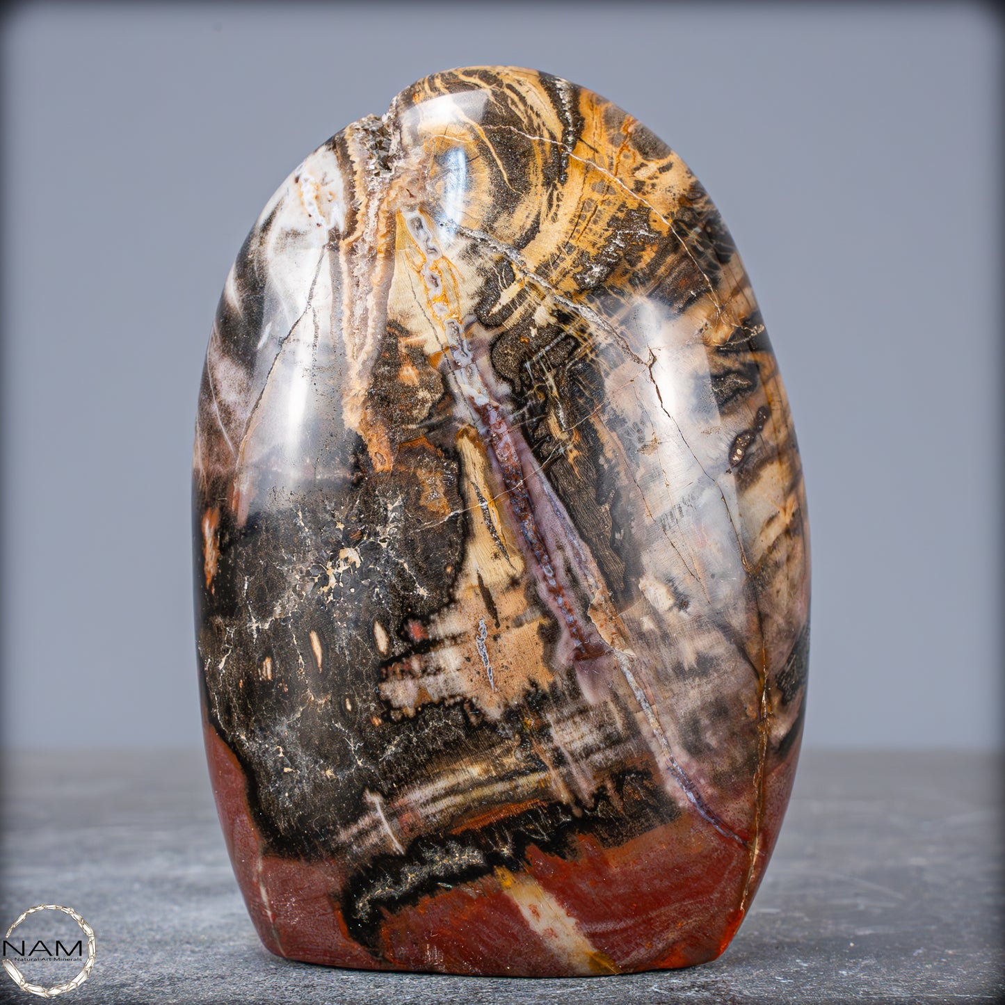 Natürliche Kristall-Freiform aus Versteinertem Holz - 707,66g
