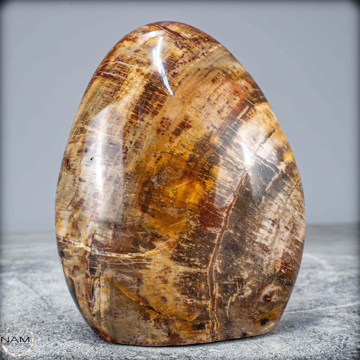 Natürliche Kristall-Freiform aus Versteinertem Holz - 799,64g