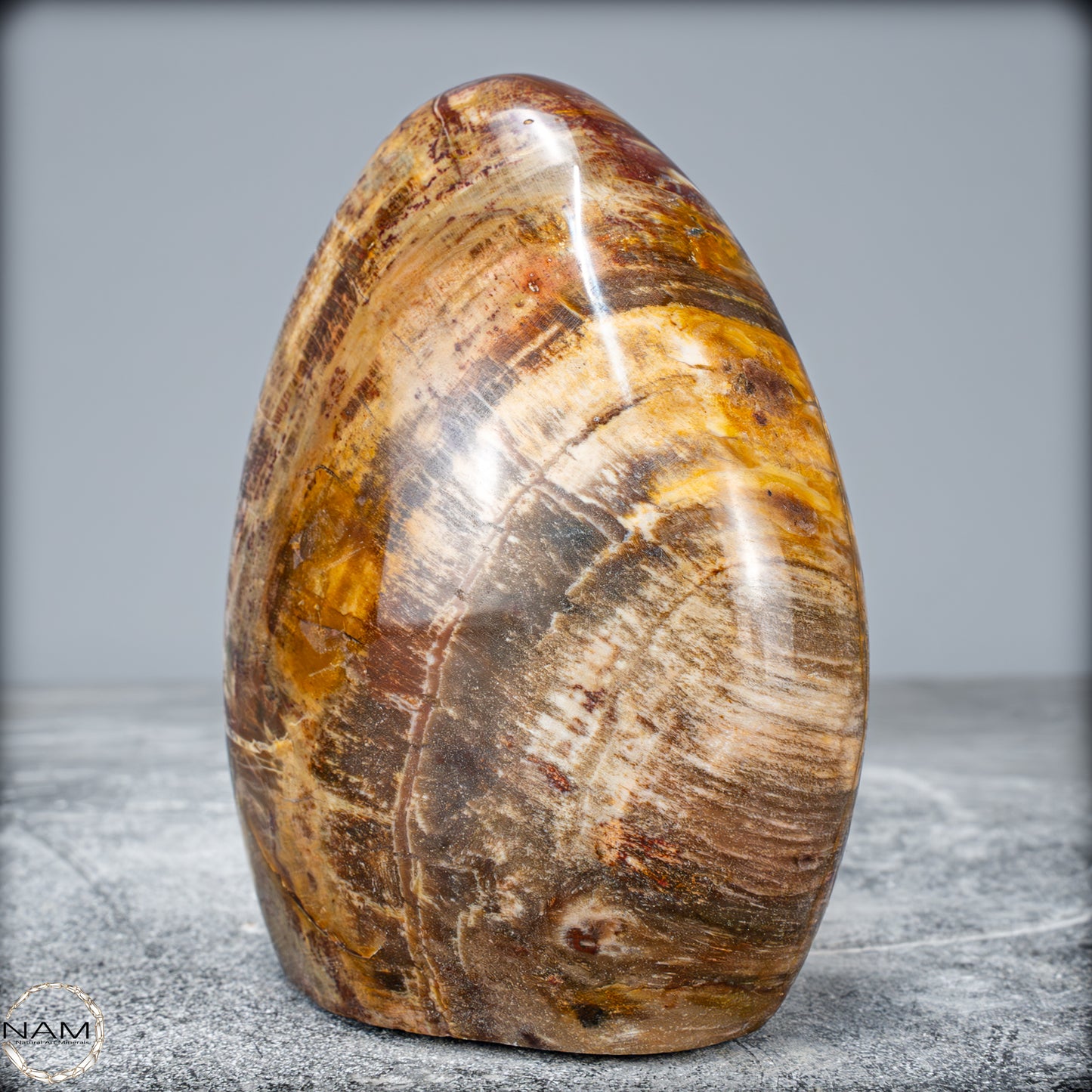 Natürliche Kristall-Freiform aus Versteinertem Holz - 799,64g