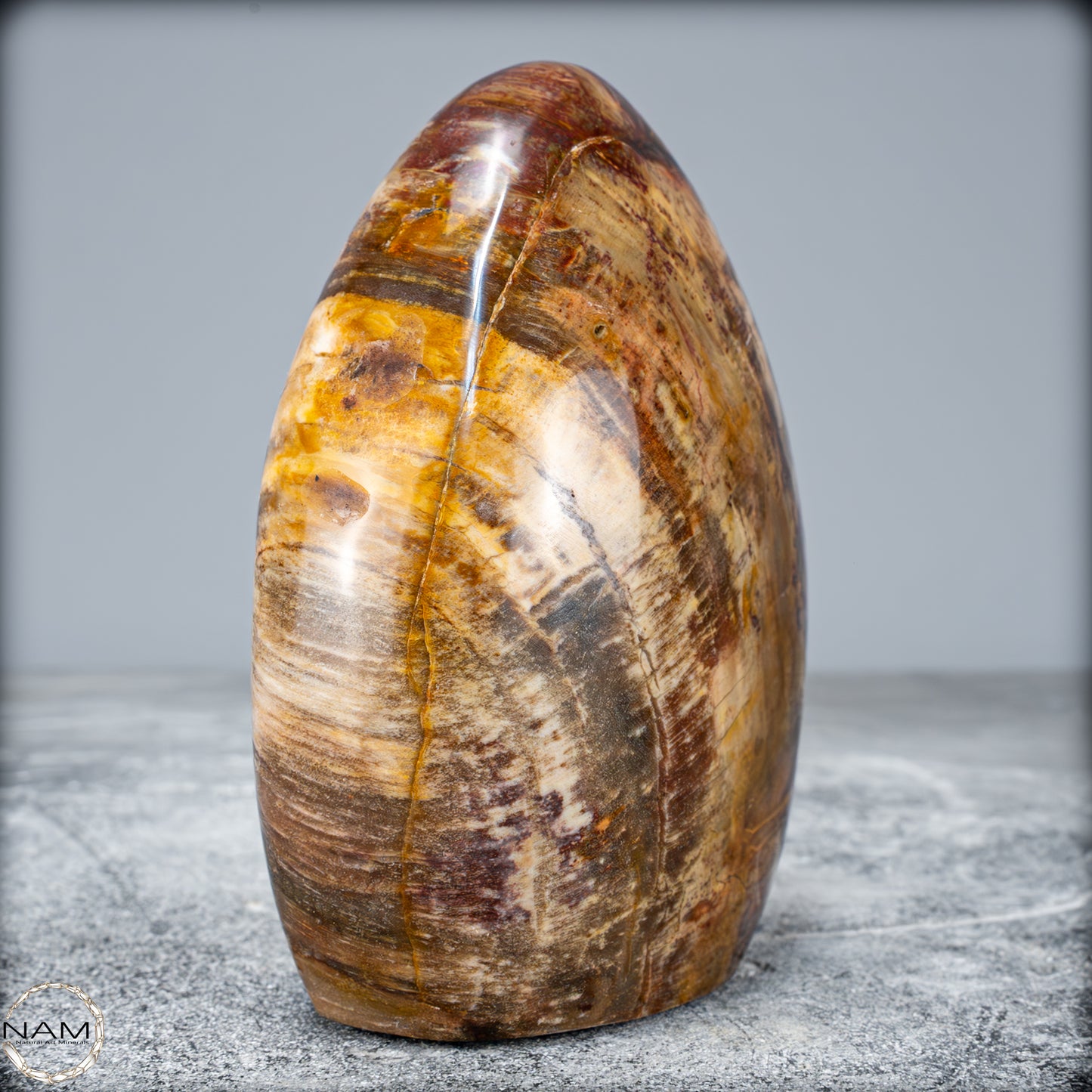 Natürliche Kristall-Freiform aus Versteinertem Holz - 799,64g