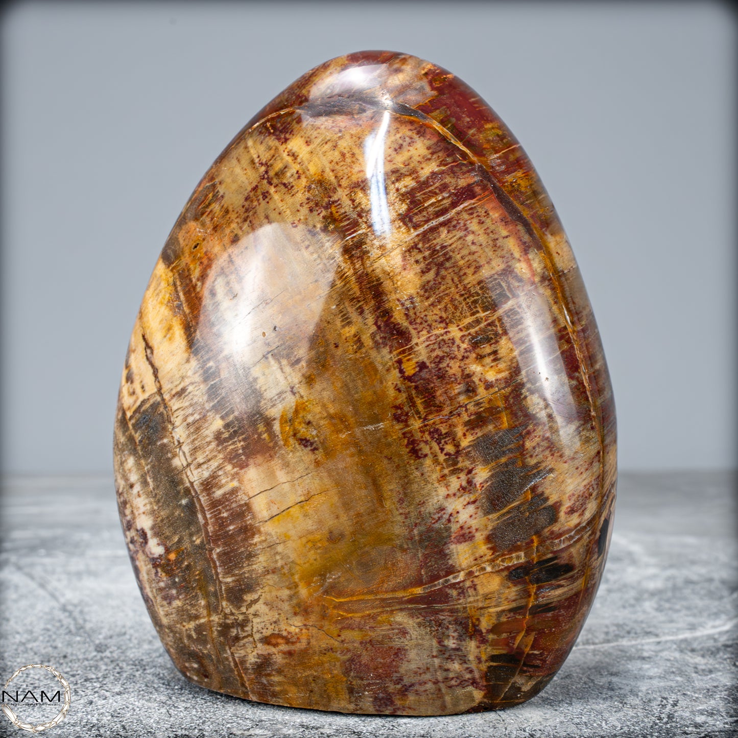 Natürliche Kristall-Freiform aus Versteinertem Holz - 799,64g