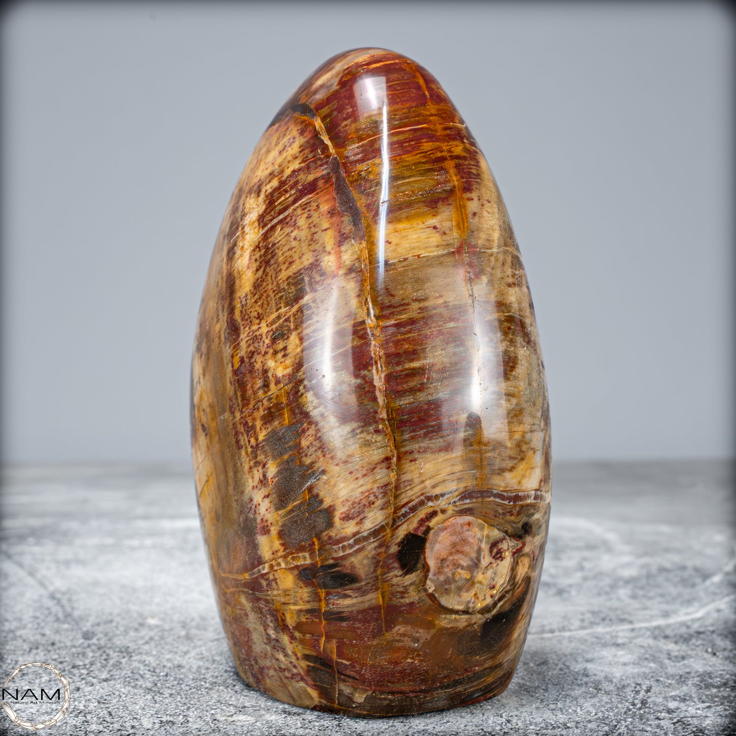 Natürliche Kristall-Freiform aus Versteinertem Holz - 799,64g