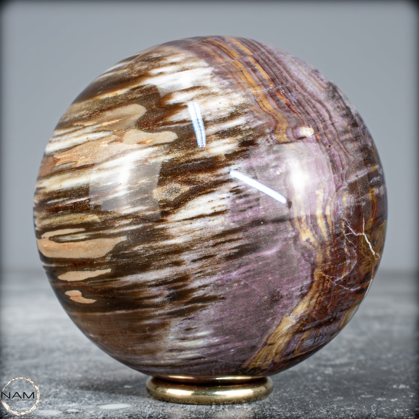 Natürliche Kristall-Kugel aus Versteinertem Holz -622,01g