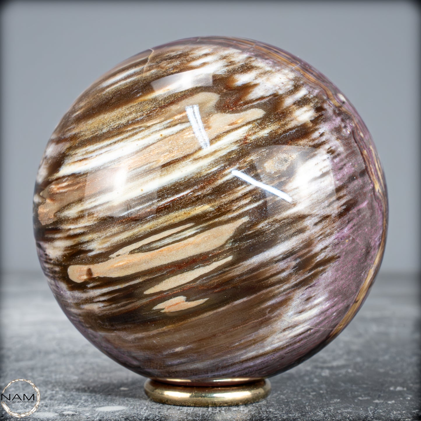 Natürliche Kristall-Kugel aus Versteinertem Holz -622,01g