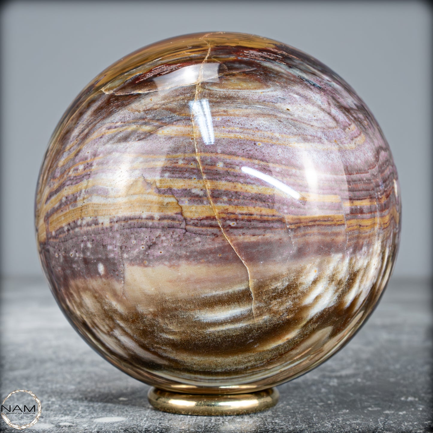 Natürliche Kristall-Kugel aus Versteinertem Holz -622,01g