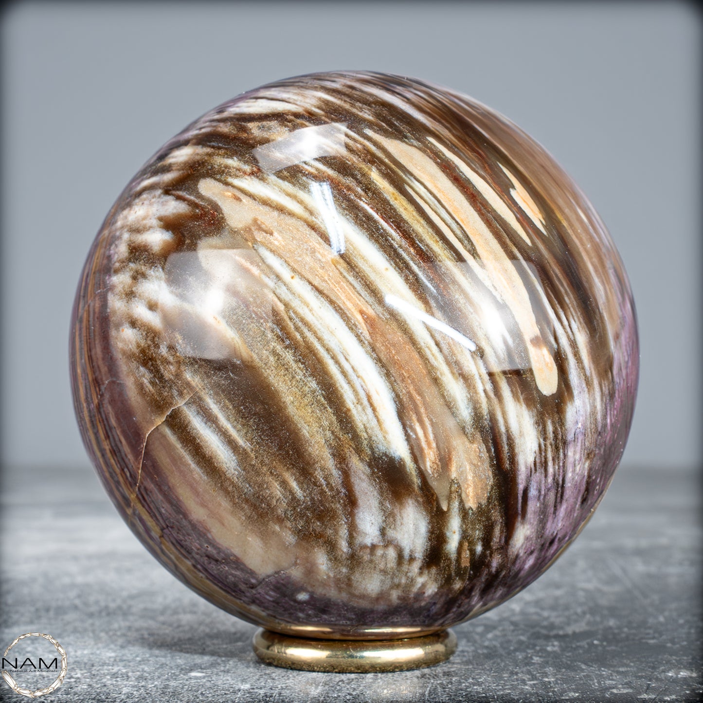 Natürliche Kristall-Kugel aus Versteinertem Holz -622,01g