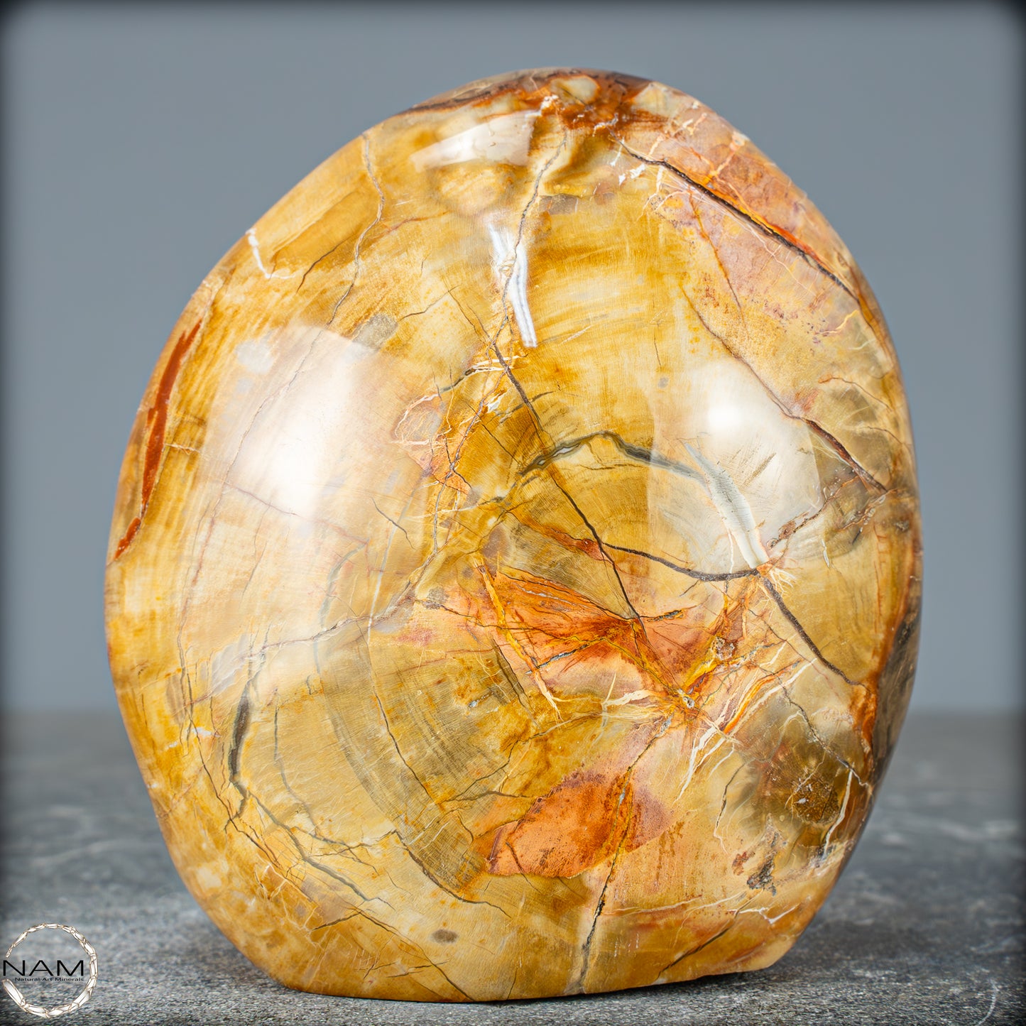 Natürliche Kristall-Freiform aus Versteinertem Holz - 832,15g