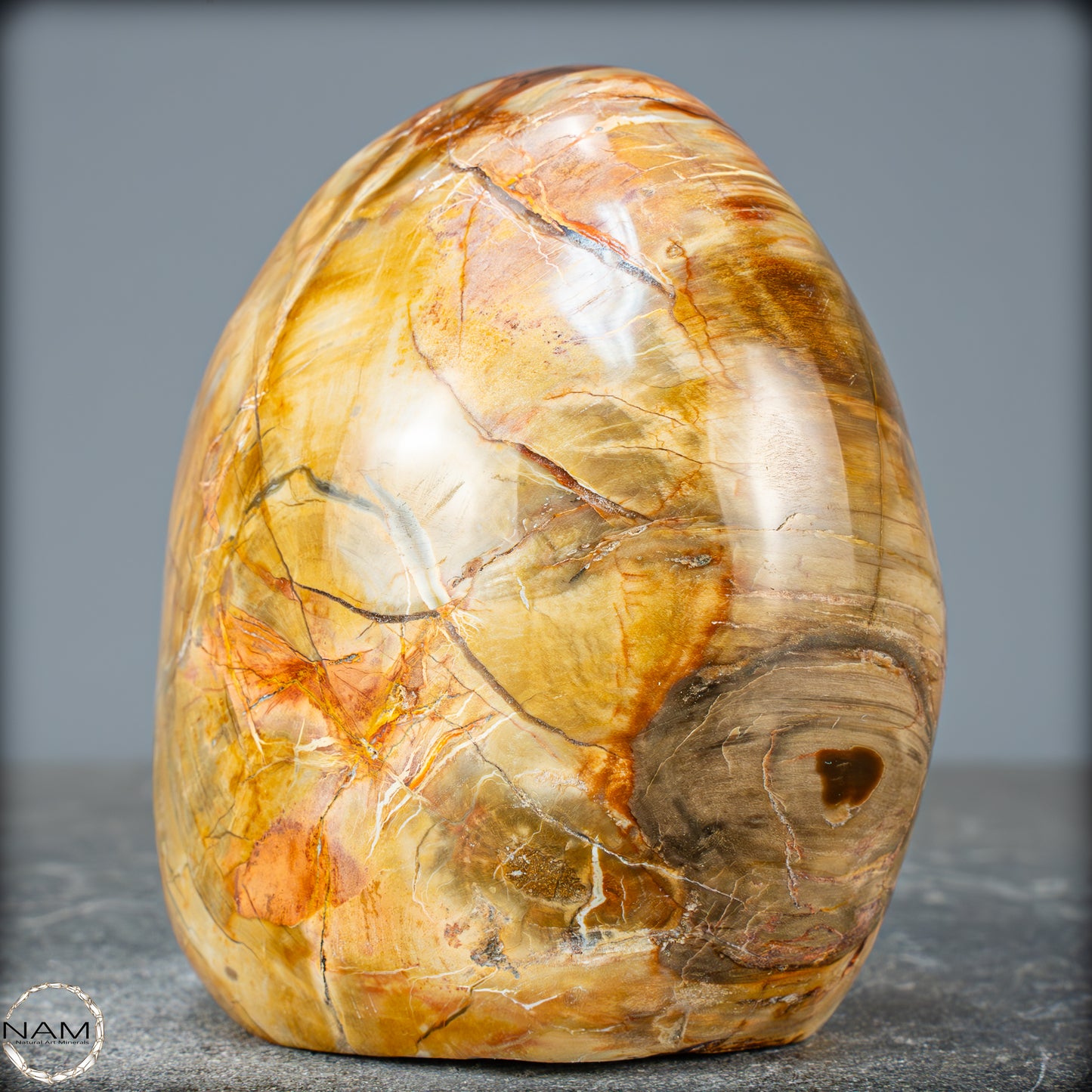 Natürliche Kristall-Freiform aus Versteinertem Holz - 832,15g