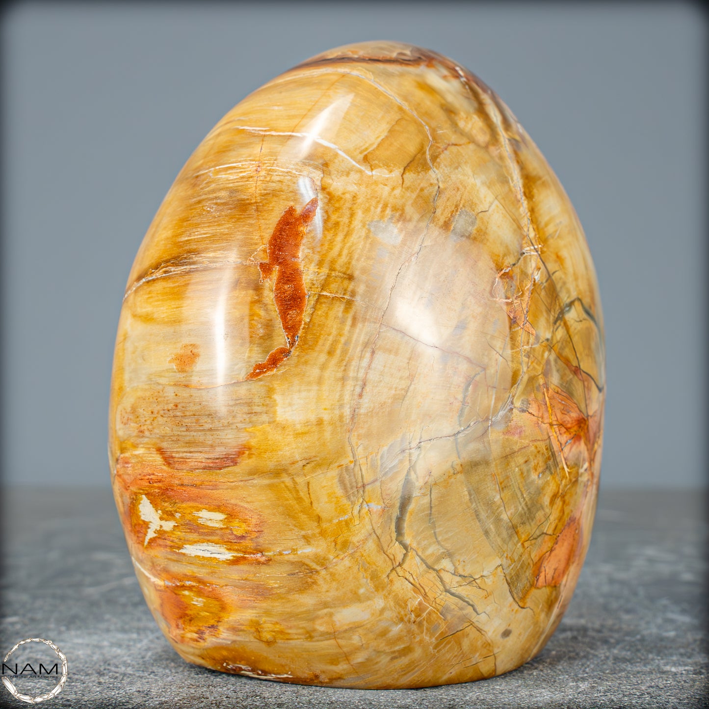 Natürliche Kristall-Freiform aus Versteinertem Holz - 832,15g